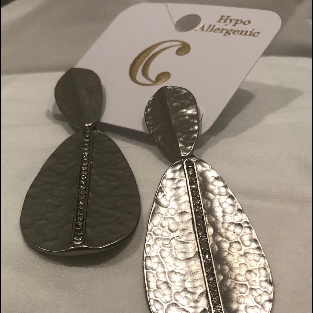 Silver Dangling Earrings Charming Charlies 7$